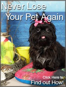Never Lose Your Pet Again